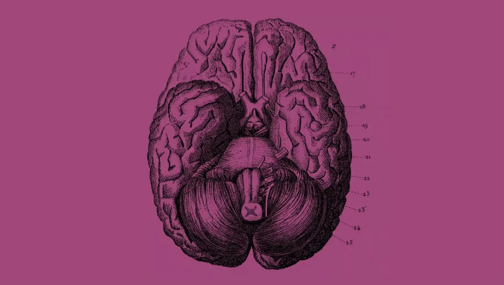 The Psychology of Magenta