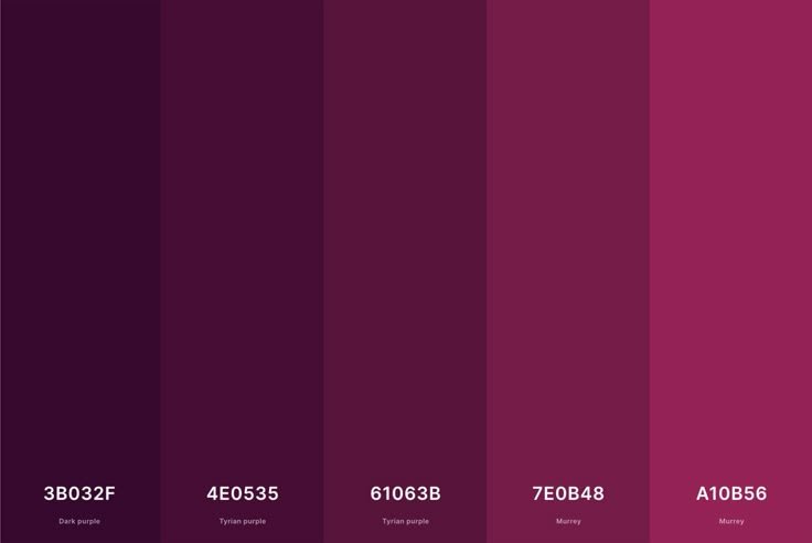 Hex Color, Codes, and Palette